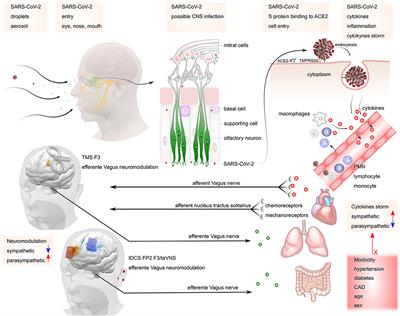 Applications of Non-invasive Neuromodulation for the Management of Disorders Related to COVID-19